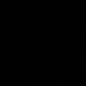 Meet your Posher, Presley